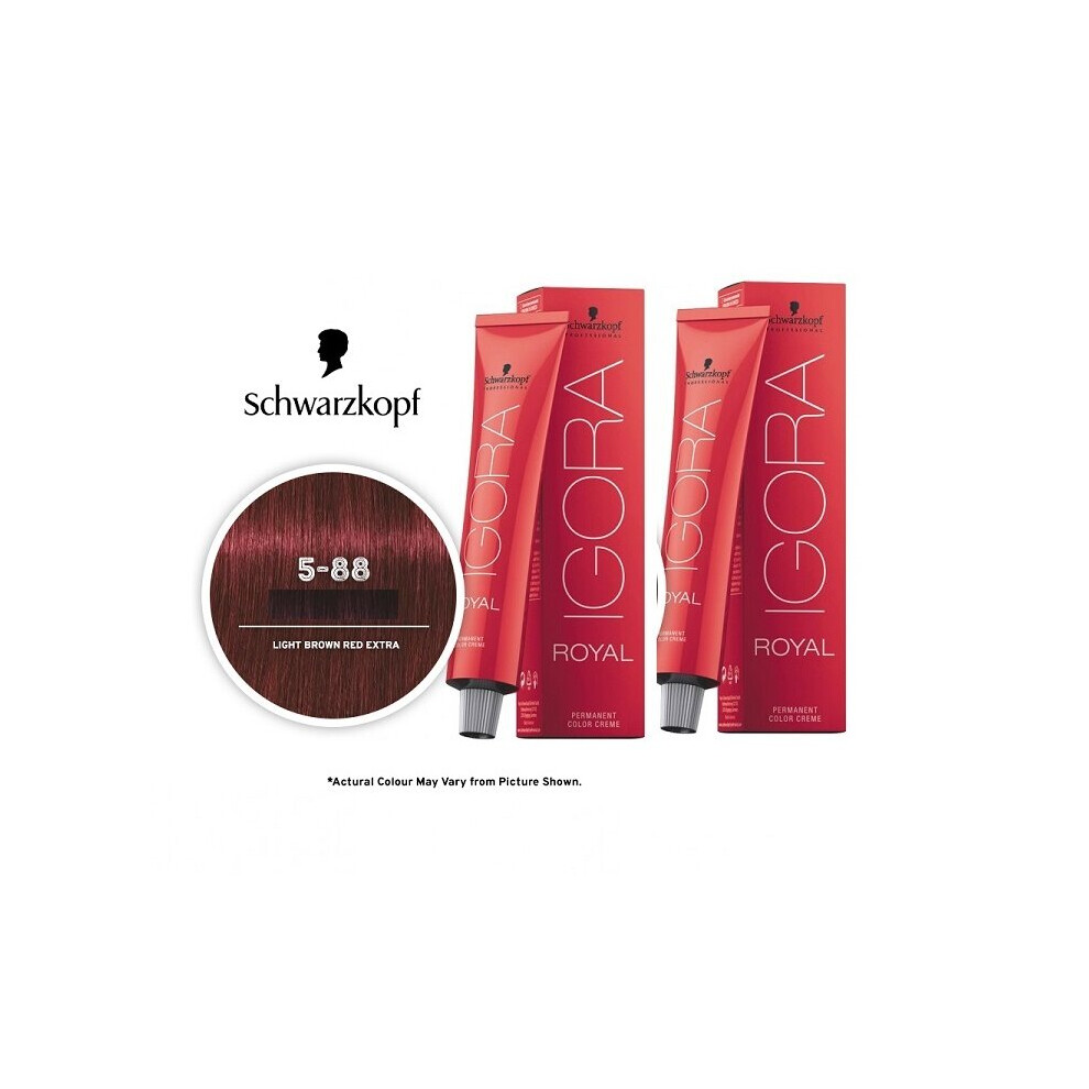 (2pks) Schwarzkopf Igora Royal 5-88 Light Brown Auburn Red Permanent Color