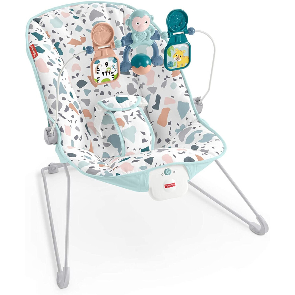 Fisher-Price GPH13 Baby's Bouncer, Multi-Coloured