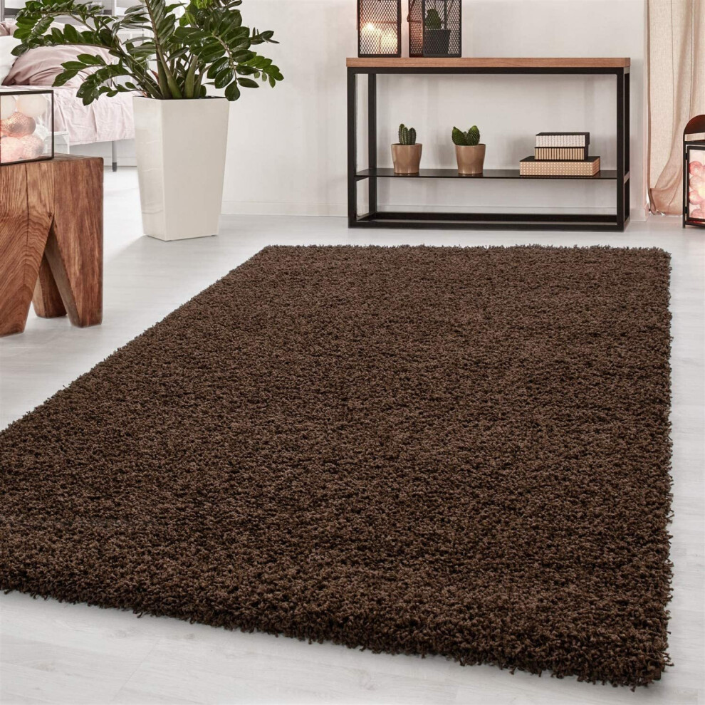 Abaseen Shaggy Modern Rugs Living Room Non Shedding- Brown, 120x170cm