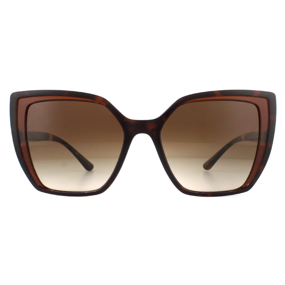 Dolce & Gabbana Sunglasses DG6138 318513 Havana On Transparent Brown Gradient