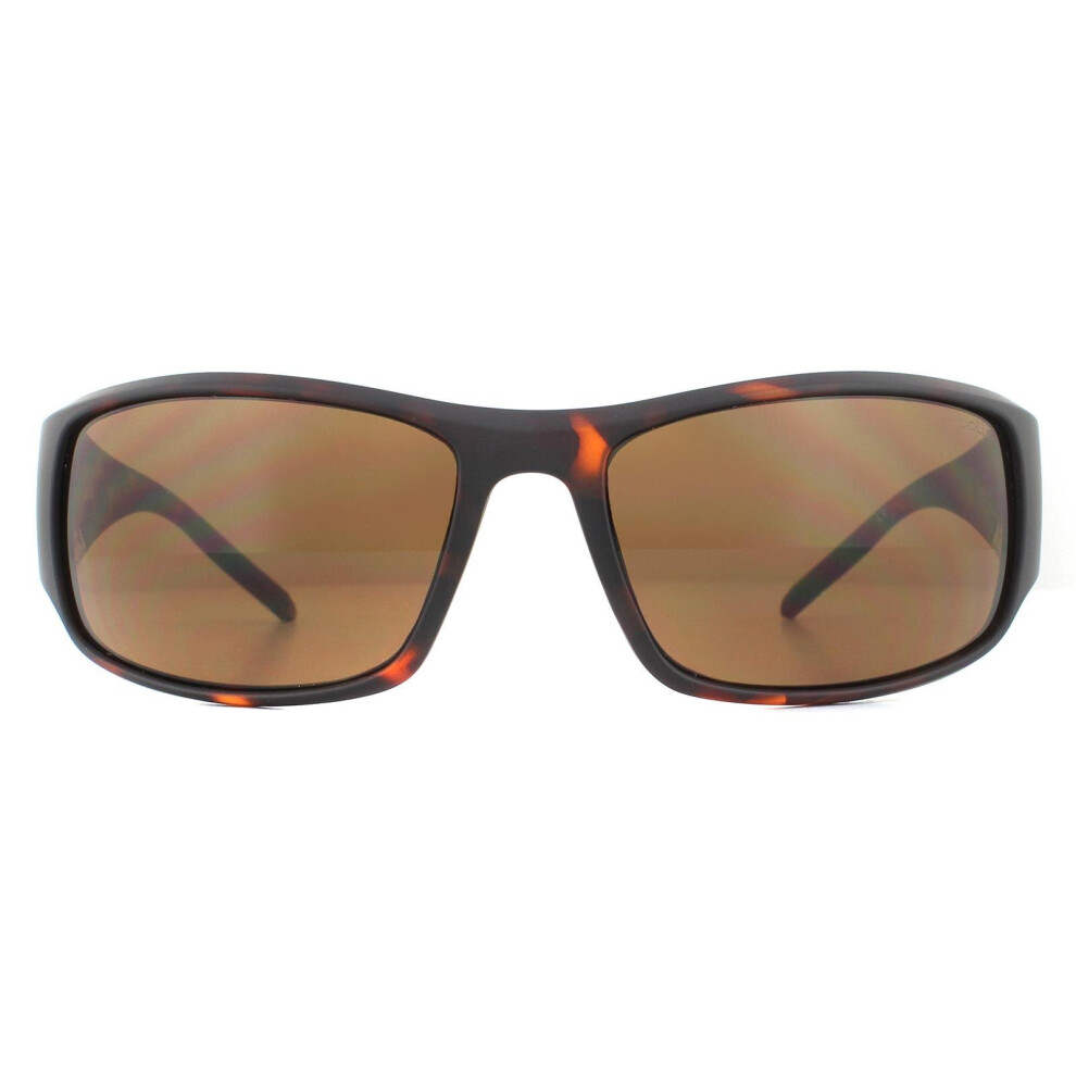 Bolle Sunglasses King 12118 Matte Tortoise TLB Dark Brown