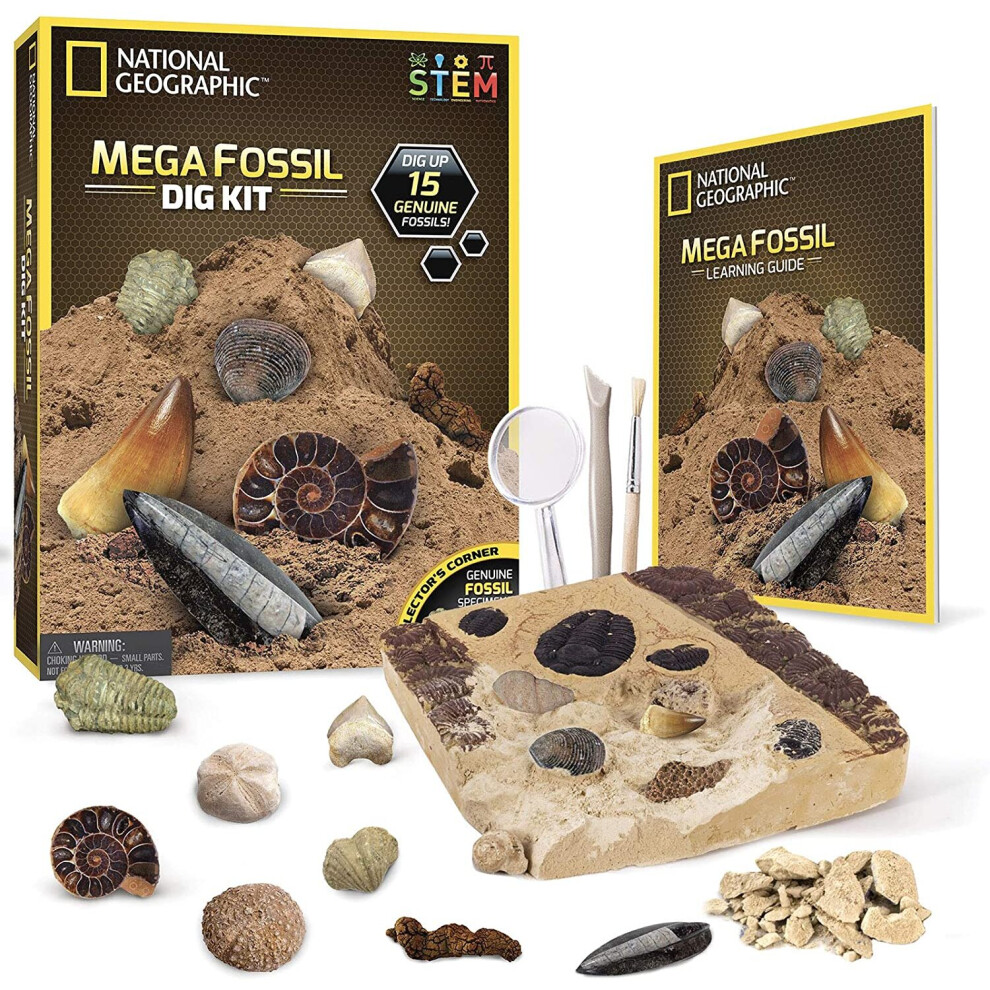 National Geographic Mega Fossil Dig Kit â Excavate 15 Real Fossils Including Dinosaur Bones, Educational Toys, Great Gift for Girls and Boys