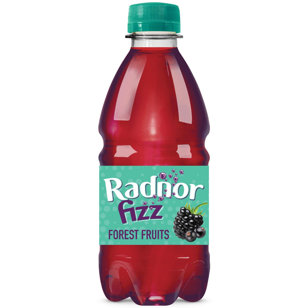 Radnor Hills Radnor Fizz Forest Fruits - 24X330ml
