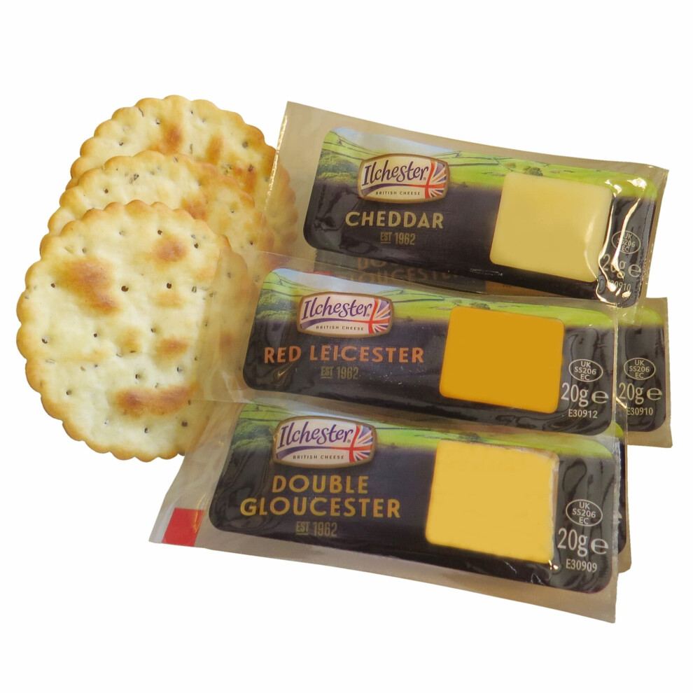 Ilchester Mixed British Cheese Portions - 50x20g