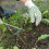 Garden Weeding Tool Stainless Steel Hand Weeder Tool Weed Remover Grass Puller Fork Trimmer Prying Tool 8