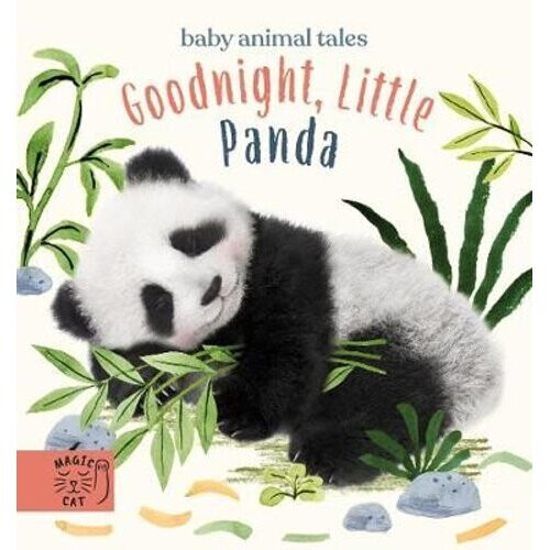 Goodnight, Little Panda | Board book
