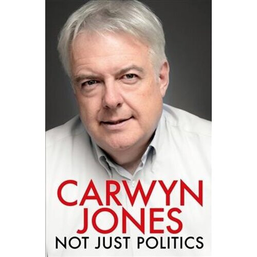 Not Just Politics | Paperback
