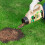 Miracle-Gro Miracle 119405 -Gro Patch Magic Grass Seed, Feed and Coir 1015g 4