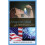 American Ideal 1