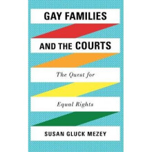 Gay Families and the Courts