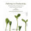Pathways to Productivity 1