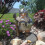 Viking Victor Norse Dwarf Gnome Yard Statue Decor 6