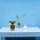Μωρό Yoda Γλάστρα με λουλούδια Παχύφυτα Bonsai Διακόσμηση φυτών 8