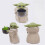 Μωρό Yoda Γλάστρα με λουλούδια Παχύφυτα Bonsai Διακόσμηση φυτών 5