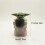 Μωρό Yoda Γλάστρα με λουλούδια Παχύφυτα Bonsai Διακόσμηση φυτών 11
