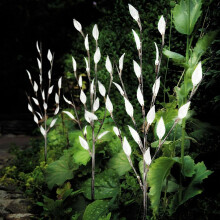 3pk 60 LED Solar Powered Branch Lights Warm White G-0150