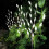 Spot On Dealz 3pk 60 LED Solar Powered Branch Lights  Warm White G-0150 1