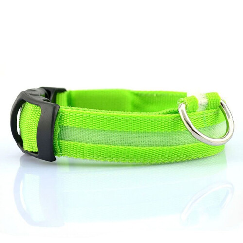 (Green, Large) LED Dog Collar Pet Night Safety Bright Adjustable