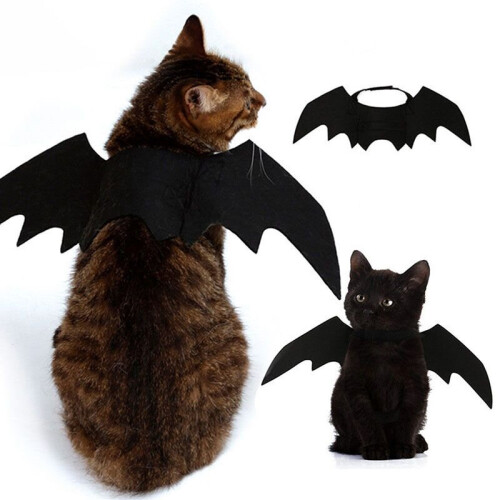 Pet Dog Cat Bat Vampire Halloween Costume Wing 1