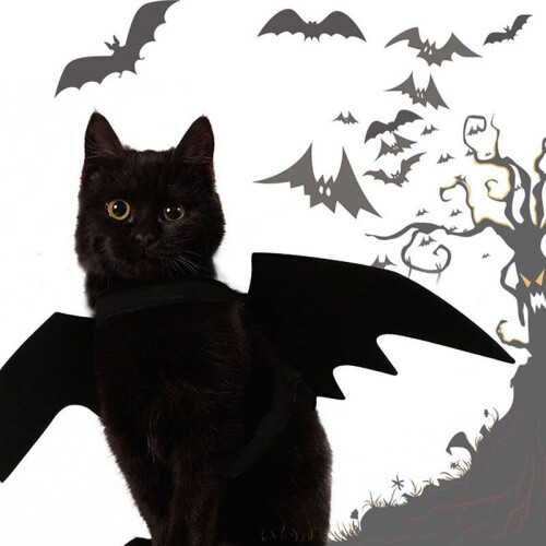 Pet Dog Cat Bat Vampire Halloween Costume Wing 2