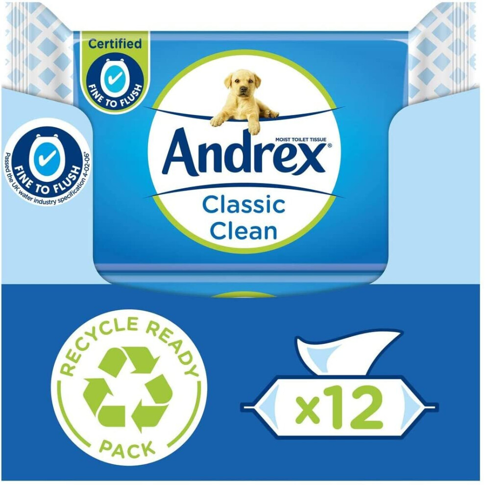 Andrex Washlets- Classic Clean Flushable Toilet Wipes Biodegradable Wet Wipes 12 Moist Toilet Tissue Packs 40 Count