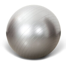 (Silver, 65cm/25.59in) Anti Burst Exercise Yoga Ball Fitness Balance Sport