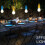 Ranpo (Yellow) LED Pull Cord Light Bulb Camping Tent Reading Room Decorative Lamp White 9