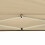 Outsunny Outsunny Heavy-Duty Pop Up Gazebo 9
