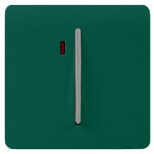 Trendi 20 A Light Switch & Neon Insert Dark Green