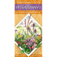 Illustrated guide to wildflowers of Northern South Africa