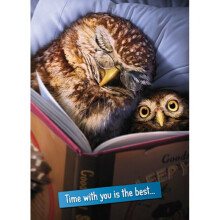 Avanti Owls Thanks Dad Cute Father's Day Greeting Card Photo Cards