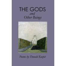 The Gods  Other Beings