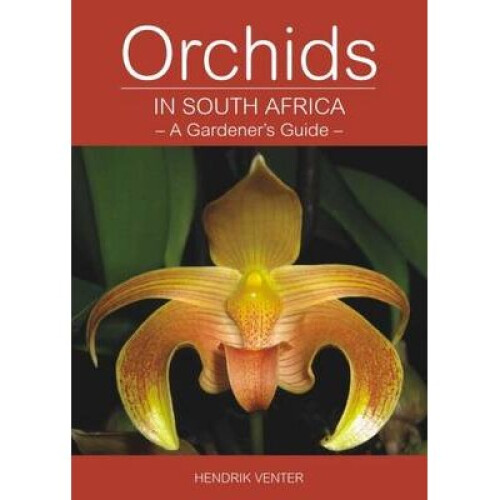 Orchids in South Africa