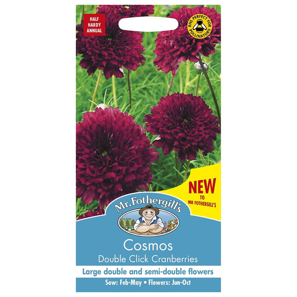 Mr Fothergill's Flower Seeds Cosmos Double Click Cranberries