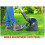 Spear & Jackson Spear & Jackson S3630CT2 30cm Cordless Grass Trimmer - 36v 6