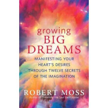 Growing Big Dreams Manifesting Your Heart's Desires Through Twelve Secrets of the Imagination
