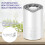 Air Purifier Cleaner Dust Smoke Filter Diffuser 10