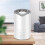 Air Purifier Cleaner Dust Smoke Filter Diffuser 4
