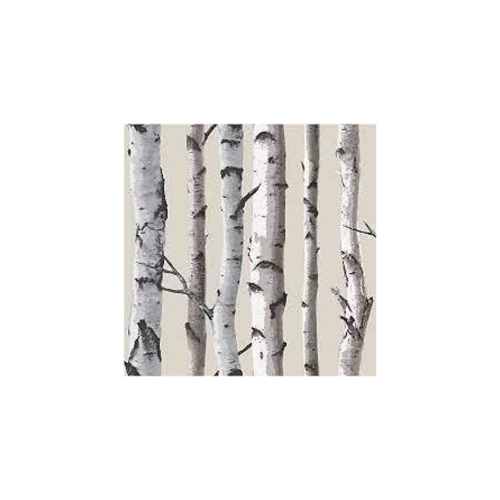 Fine Decor Natural Beige / Cream - FD31051 - Birch Tree - Forest Woods - Wallpaper