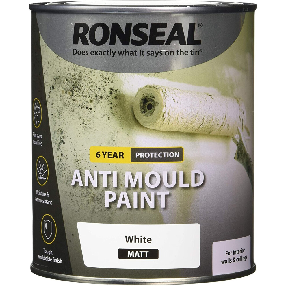 Ronseal Anti Mould Paint White Matt 750Ml