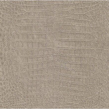 Rasch Non-woven - Wallpaper Collection African Queen II 474138