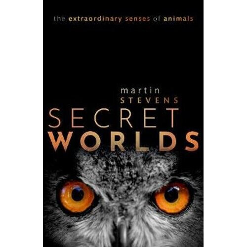 Secret Worlds | Hardback