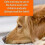 (4) Xterminate Bed Bug Killer Spray and Fogger Kits 2