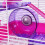 Rosewood Rosewood Pico Exercise Wheel for Hamsters with Stand, Purple 5