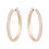 Swarovski Swarovski Woman Earrings ref. 5383938 1