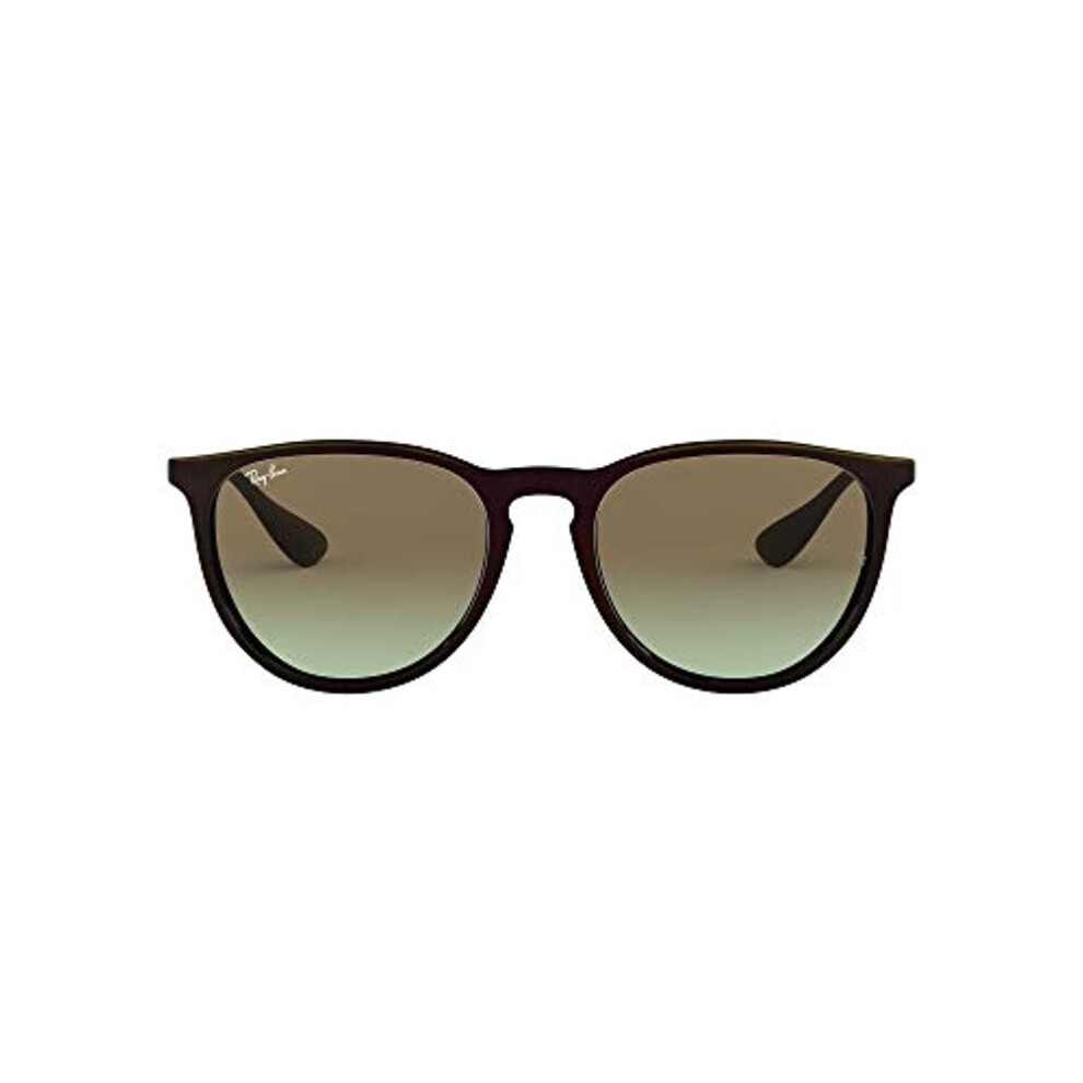Ray-Ban Men's Sunglasses Ref. 4171631600000000(2)
