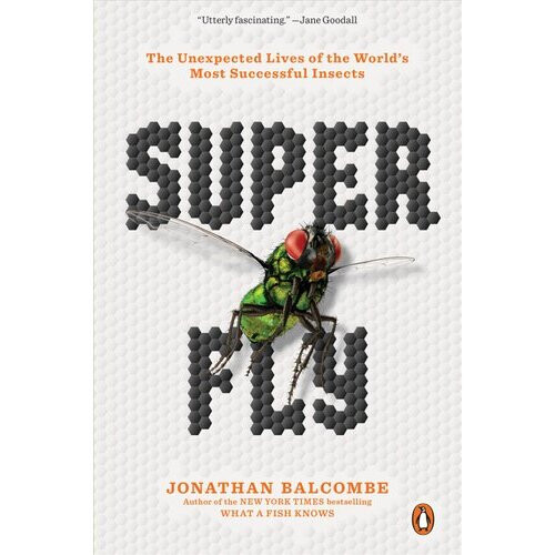 Super Fly | Paperback