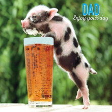 Pint & Piglet Happy Father's Day Greeting Card Paper House Photographic Cards