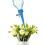12x Automatic Self Watering Spikes System Garden  Plant Pot Water-er Tools 7