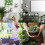 12x Automatic Self Watering Spikes System Garden  Plant Pot Water-er Tools 4